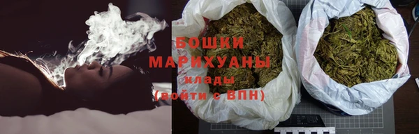 гидра Абаза