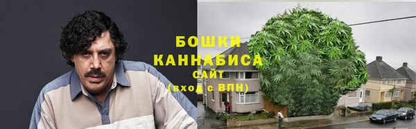 гашик Дмитров
