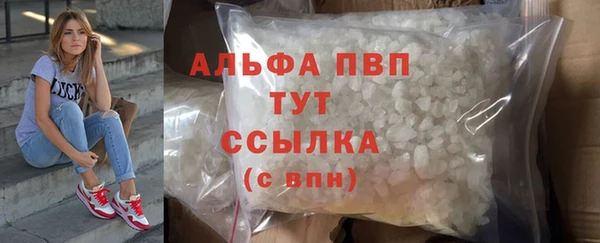 гидра Абаза