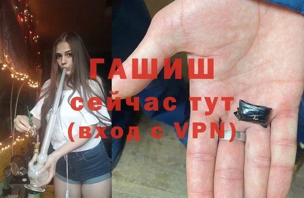 стаф Абинск