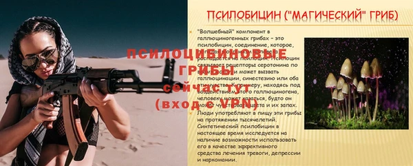 гидра Абдулино