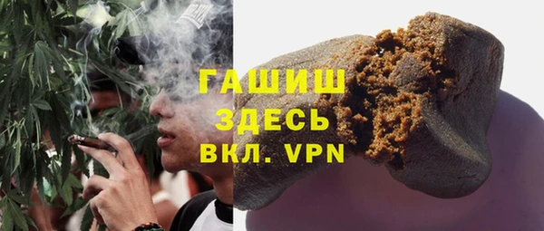 гидра Абаза