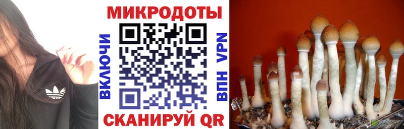 omg как зайти Рассказово площадка официальный сайт Псилоцибиновые грибы мухоморы